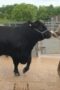 Nonton Film Clarkson’s Farm Season 4 Episode 5 WONGMOVIE Nonton Film Clarkson’s Farm Season 4 Episode 5 WONGMOVIE